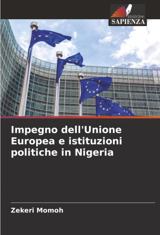 Impegno dell'Unione Europea e istituzioni politiche in Nigeria