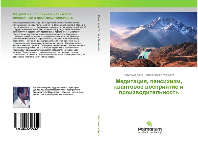 Медитация, пансихизм, квантовое восприятие и производительность