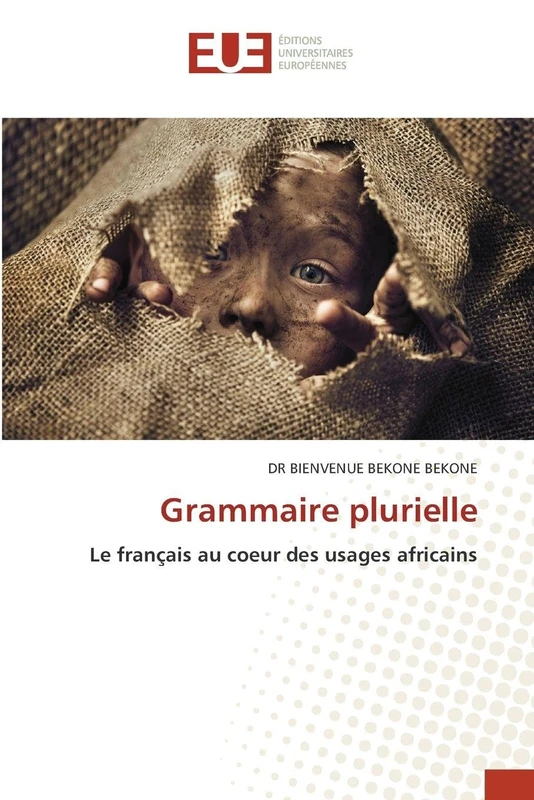 Grammaire plurielle: Le français au coeur des usages africains - Image 1