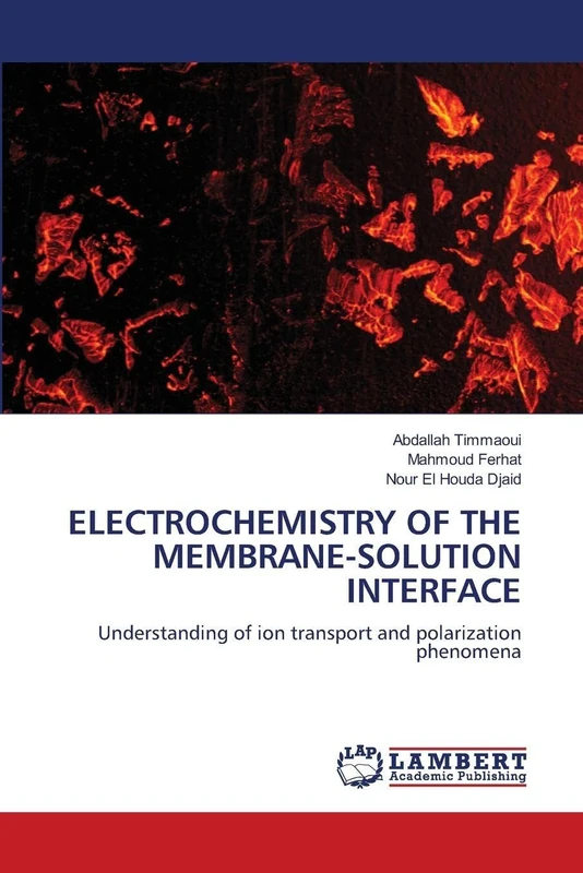 Electrochemistry of the Membrane-Solution Interface: Understanding of ion transport and polarization phenomena