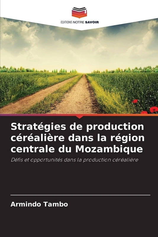 Stratégies de production céréalière dans la région centrale du Mozambique: Défis et opportunités dans la production céréalière
