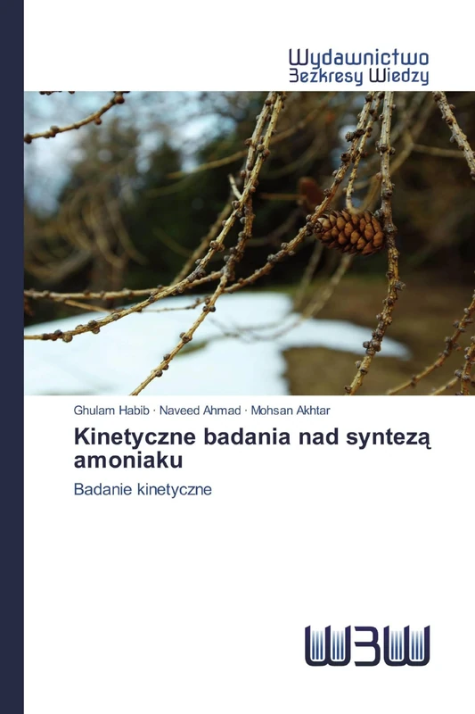 Kinetyczne badania nad syntezą amoniaku: Badanie kinetyczne - Image 1
