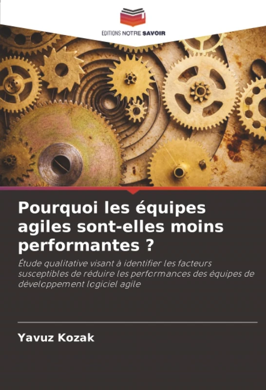 Pourquoi les équipes agiles sont-elles moins performantes ?: Étude qualitative visant à identifier les facteurs susceptibles de réduire les performances des équipes de développement logiciel agile