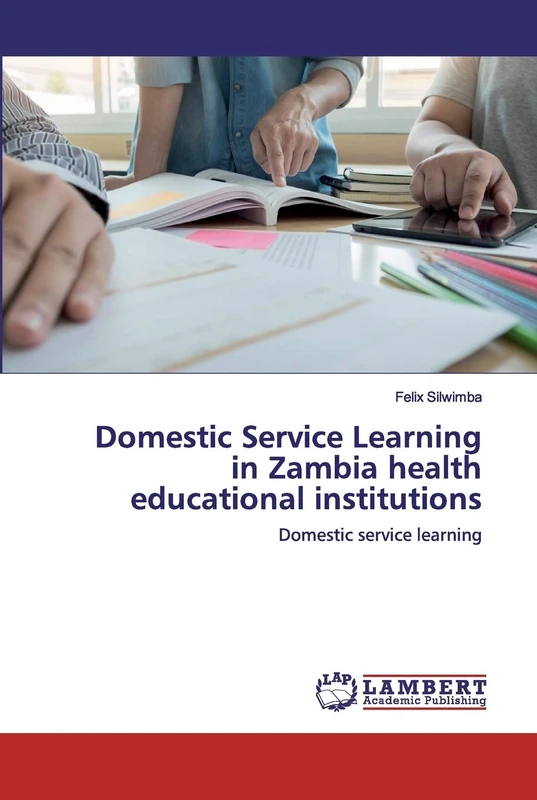 Domestic Service Learning in Zambia health educational institutions: Domestic service learning