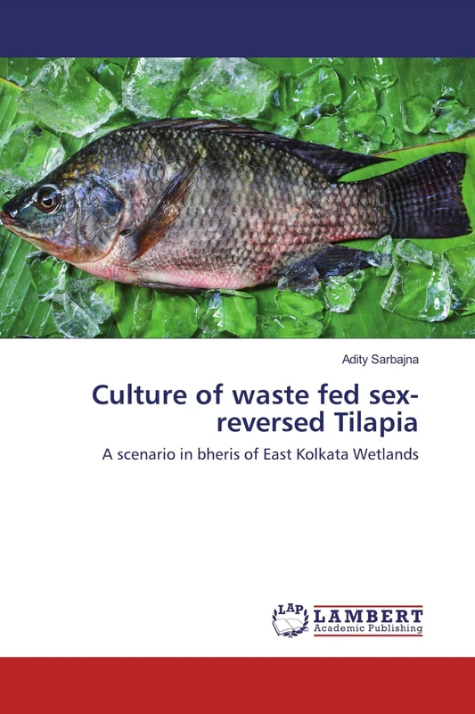 Culture of waste fed sex-reversed Tilapia: A scenario in bheris of East Kolkata Wetlands