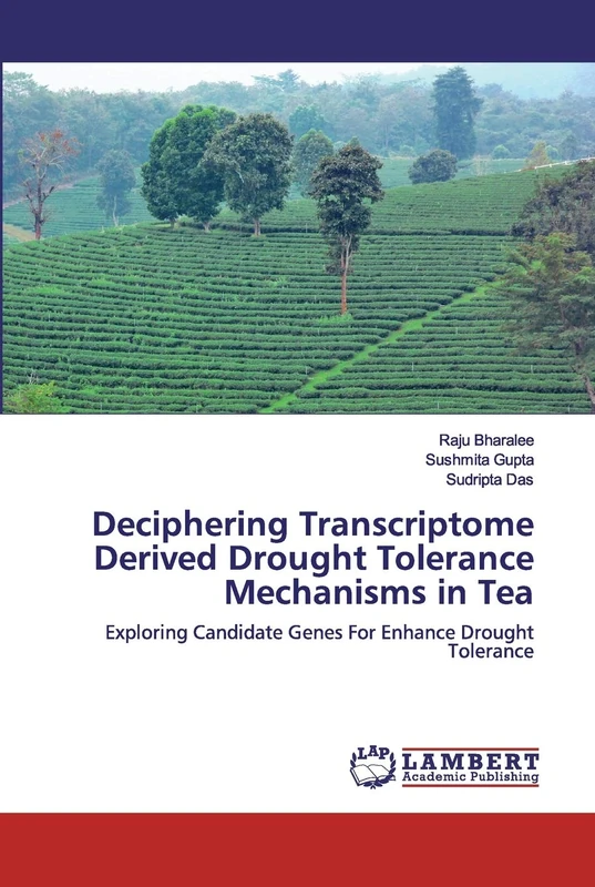 Deciphering Transcriptome Derived Drought Tolerance Mechanisms in Tea: Exploring Candidate Genes For Enhance Drought Tolerance