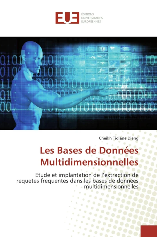 Les Bases de Données Multidimensionnelles: Etude et implantation de l’extraction de requetes frequentes dans les bases de données multidimensionnelles - Image 1