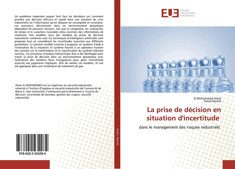 La prise de décision en situation d'incertitude: dans le management des risques industriels