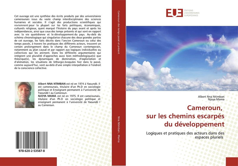 Cameroun, sur les chemins escarpés du développement: Logiques et pratiques des acteurs dans des espaces pluriels