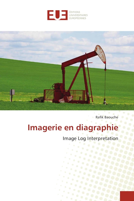 Imagerie en diagraphie: Image Log Interpretation - Image 1