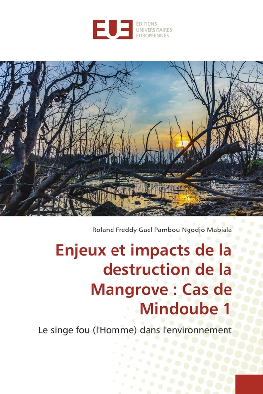 Enjeux et impacts de la destruction de la Mangrove : Cas de Mindoube 1: Le singe fou (l'Homme) dans l'environnement - Image 1