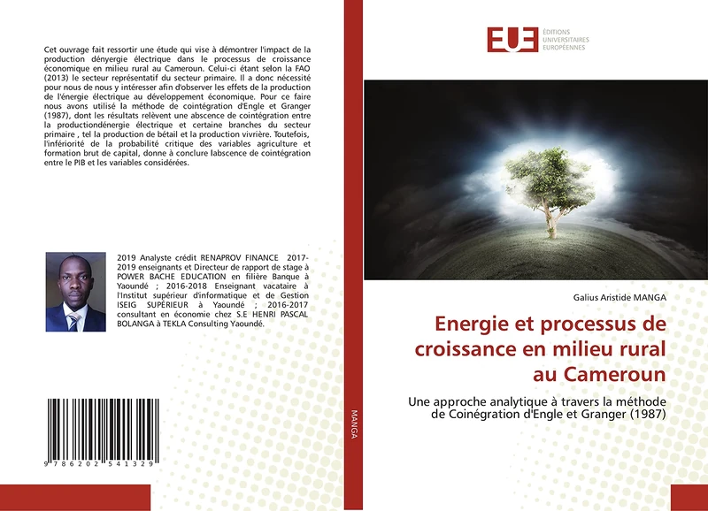 Energie et processus de croissance en milieu rural au Cameroun: Une approche analytique à travers la méthode de Coinégration d'Engle et Granger (1987)