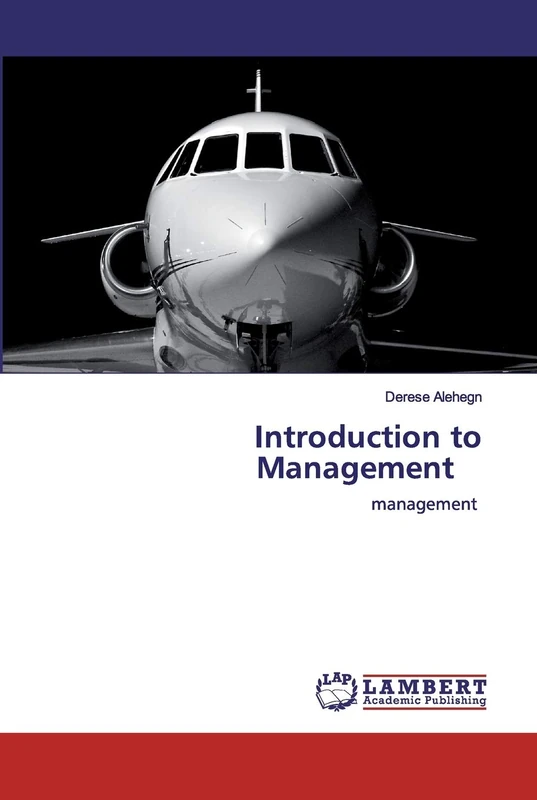 Introduction to Management: management