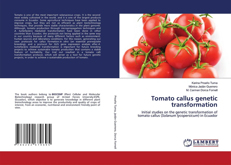 Tomato callus genetic transformation: Initial studies on the genetic transformation of tomato callus (Solanum lycopersicum) in Ecuador - Image 1