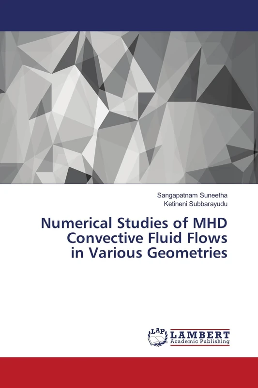Numerical Studies of MHD Convective Fluid Flows in Various Geometries