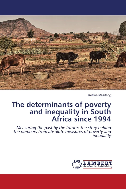 The determinants of poverty and inequality in South Africa since 1994: Measuring the past by the future: the story behind the numbers from absolute measures of poverty and inequality