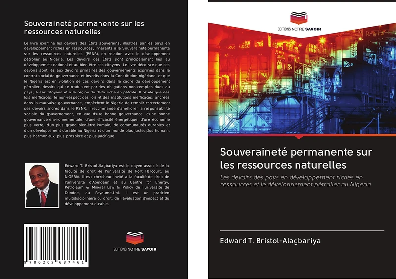 Souveraineté permanente sur les ressources naturelles: Les devoirs des pays en développement riches en ressources et le développement pétrolier au Nigeria - Image 1