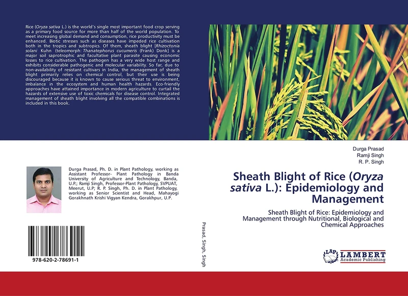 Sheath Blight of Rice (Oryza sativa L.): Epidemiology and Management: Sheath Blight of Rice: Epidemiology and Management through Nutritional, Biological and Chemical Approaches
