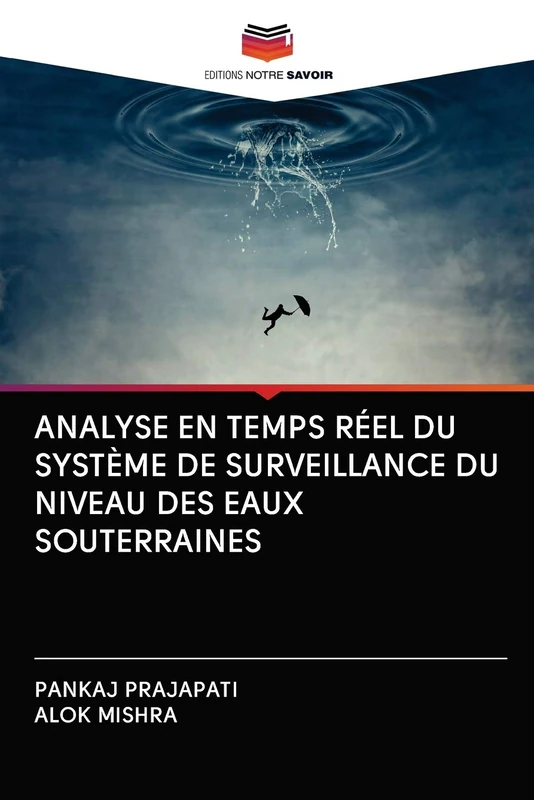 ANALYSE EN TEMPS RÉEL DU SYSTÈME DE SURVEILLANCE DU NIVEAU DES EAUX SOUTERRAINES