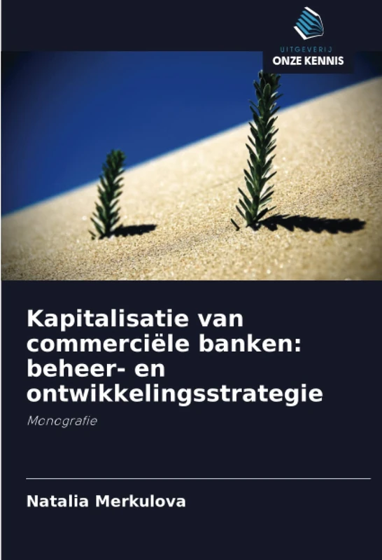 Kapitalisatie van commerciële banken: beheer- en ontwikkelingsstrategie: Monografie