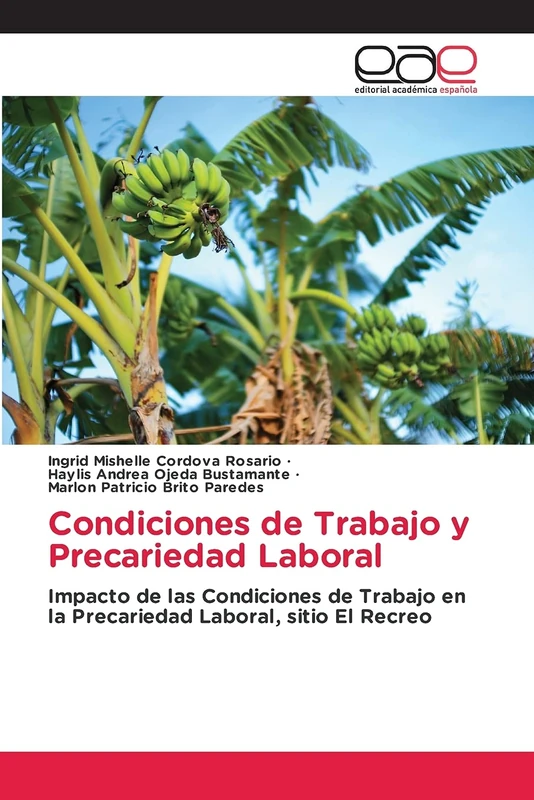Condiciones de Trabajo y Precariedad Laboral: Impacto de las Condiciones de Trabajo en la Precariedad Laboral, sitio El Recreo
