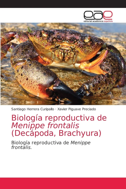 Biología reproductiva de Menippe frontalis (Decápoda, Brachyura) - Image 1