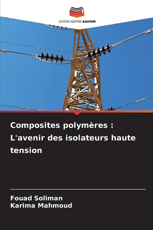 Composites polymères: L'avenir des isolateurs haute tension