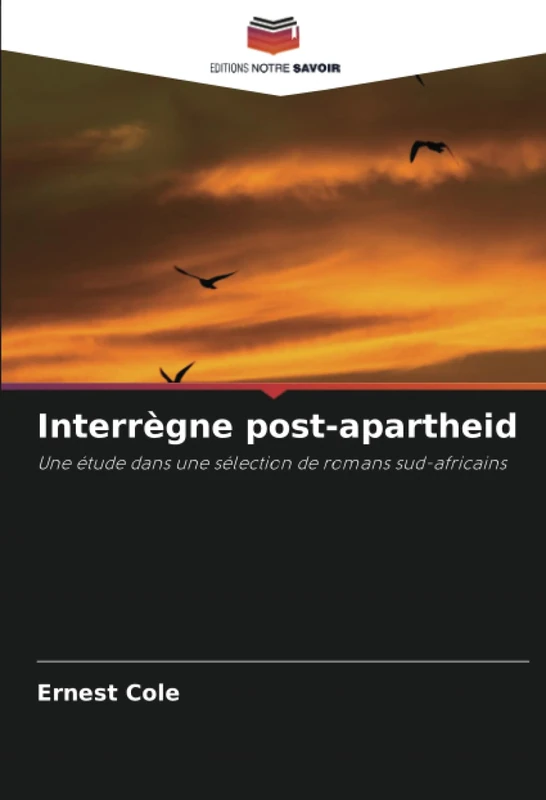 Interrègne post-apartheid: Une étude dans une sélection de romans sud-africains - Image 1