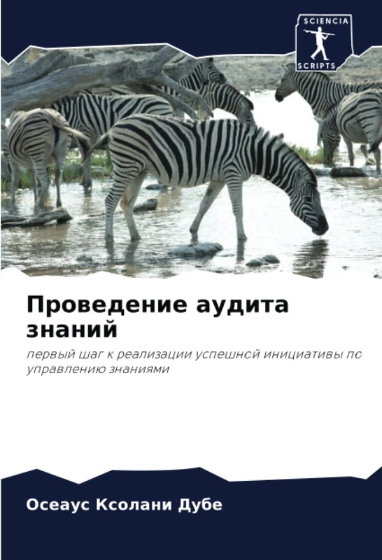 Проведение аудита знаний: первый шаг к реализации успешной инициативы по управлению знаниями: perwyj shag k realizacii uspeshnoj iniciatiwy po uprawleniü znaniqmi - Image 1