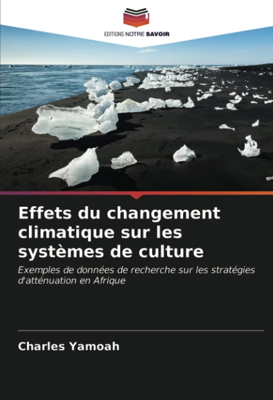 Effets du changement climatique sur les systèmes de culture: Exemples de données de recherche sur les stratégies d'atténuation en Afrique - Image 1