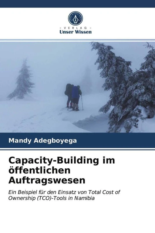 Capacity-Building im öffentlichen Auftragswesen: Ein Beispiel für den Einsatz von Total Cost of Ownership (TCO)-Tools in Namibia - Image 1