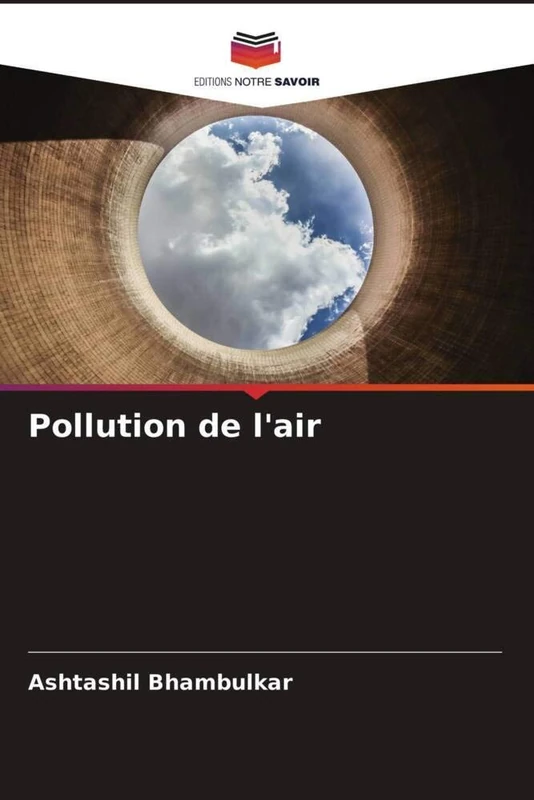 Pollution de l'air - Image 1