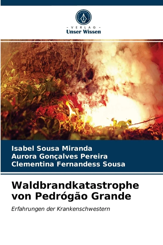 Waldbrandkatastrophe von Pedrógão Grande: Erfahrungen der Krankenschwestern - Image 1