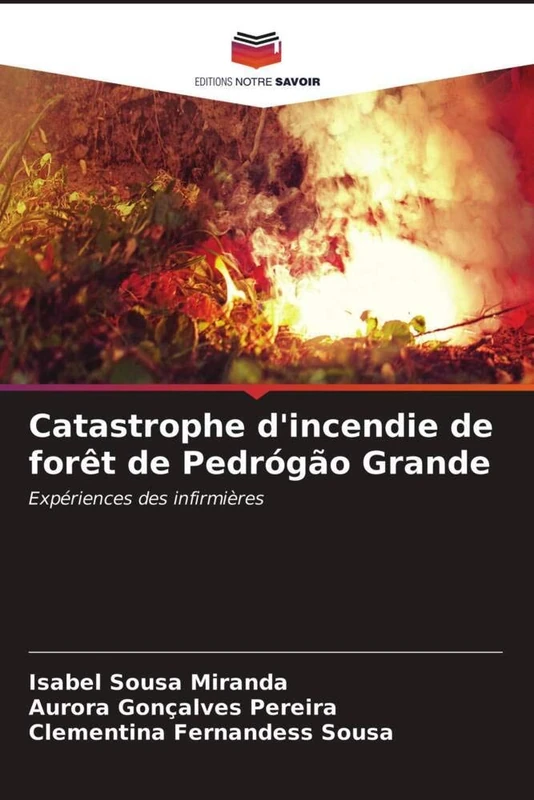 Catastrophe d'incendie de forêt de Pedrógão Grande: Expériences des infirmières - Image 1