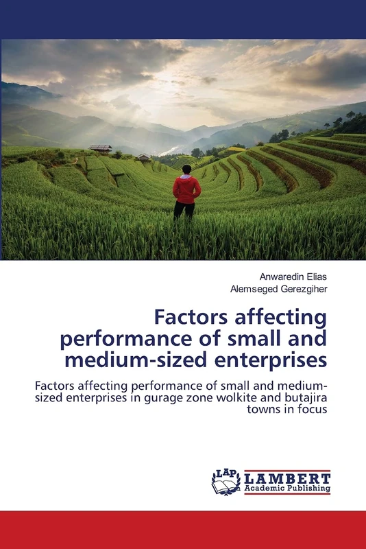 Factors affecting performance of small and medium-sized enterprises: Factors affecting performance of small and medium-sized enterprises in gurage zone wolkite and butajira towns in focus
