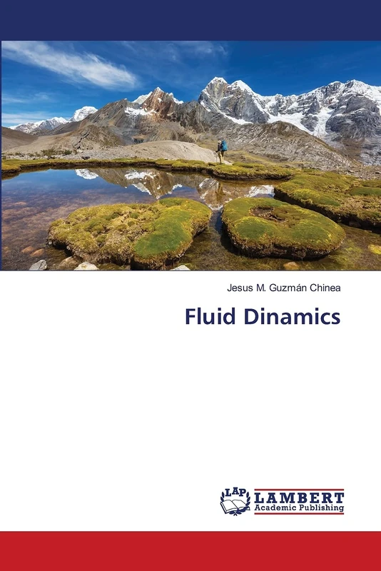 Fluid Dinamics