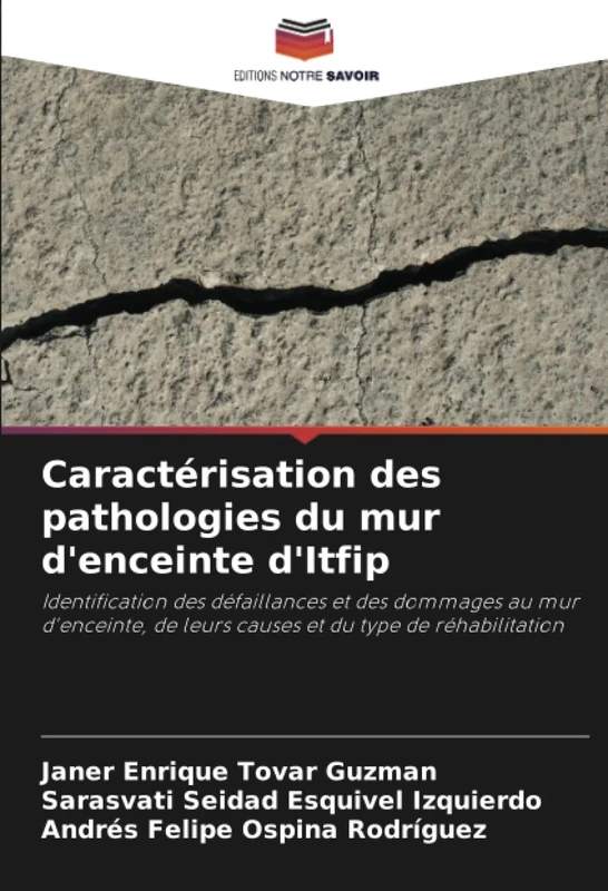 Caractérisation des pathologies du mur d'enceinte d'Itfip: Identification des défaillances et des dommages au mur d'enceinte, de leurs causes et du type de réhabilitation - Image 1