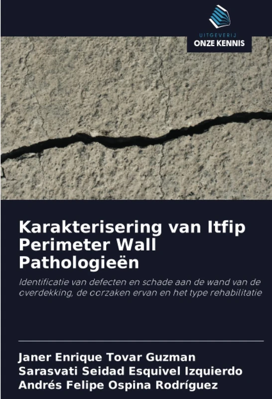Karakterisering van Itfip Perimeter Wall Pathologieën: Identificatie van defecten en schade aan de wand van de overdekking, de oorzaken ervan en het type rehabilitatie - Image 1