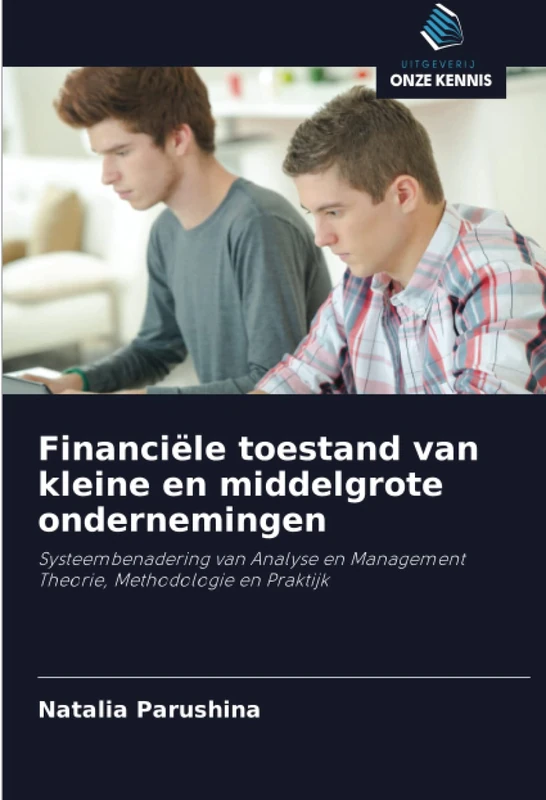 Financiële toestand van kleine en middelgrote ondernemingen: Systeembenadering van Analyse en Management Theorie, Methodologie en Praktijk