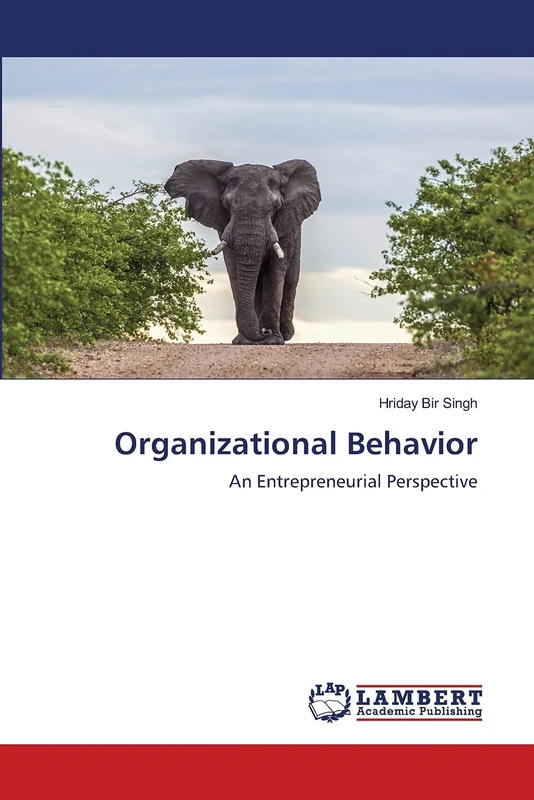 Organizational Behavior: An Entrepreneurial Perspective