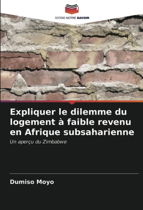Expliquer le dilemme du logement à faible revenu en Afrique subsaharienne: Un aperçu du Zimbabwe