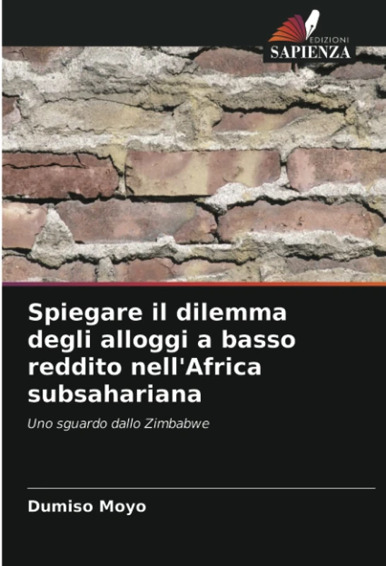 Spiegare il dilemma degli alloggi a basso reddito nell'Africa subsahariana: Uno sguardo dallo Zimbabwe
