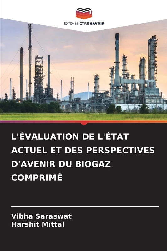 L'ÉVALUATION DE L'ÉTAT ACTUEL ET DES PERSPECTIVES D'AVENIR DU BIOGAZ COMPRIMÉ