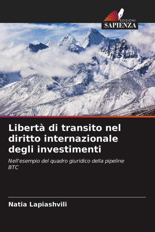 Libertà di transito nel diritto internazionale degli investimenti: Nell'esempio del quadro giuridico della pipeline BTC