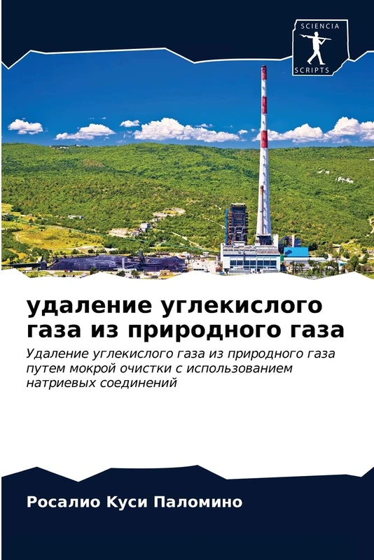 удаление углекислого газа из природного газа: Удаление углекислого газа из природного газа путем мокрой очистки с использованием натриевых соединений: ... s ispol'zowaniem natriewyh soedinenij - Image 1