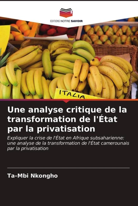 Une analyse critique de la transformation de l'État par la privatisation: Expliquer la crise de l'État en Afrique subsaharienne: une analyse de la ... de l'État camerounais par la privatisation
