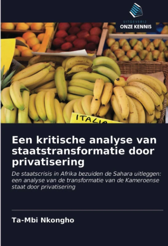 Een kritische analyse van staatstransformatie door privatisering: De staatscrisis in Afrika bezuiden de Sahara uitleggen: een analyse van de transformatie van de Kameroense staat door privatisering