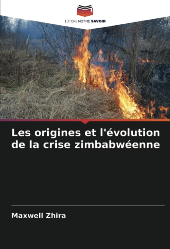 Les origines et l'évolution de la crise zimbabwéenne