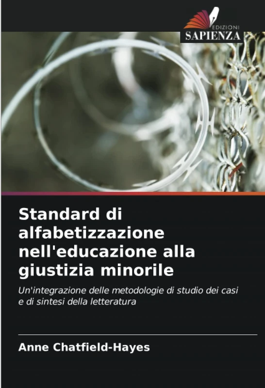 Standard di alfabetizzazione nell'educazione alla giustizia minorile: Un'integrazione delle metodologie di studio dei casi e di sintesi della letteratura