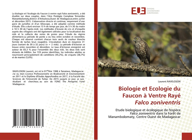 Biologie et Ecologie du Faucon à Ventre Rayé Falco zoniventris: Etude biologique et écologique de l'espèce Falco zoniventris dans la Forêt de Manambolomaty, Centre Ouest de Madagascar